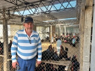Nelson Ginter, de 62 años, el productor de huevos de color azul más austral del mundo: “Si los dejás más de un día se congelan”