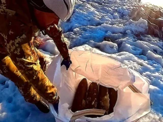 El deshielo de los glaciares italianos sacó a la luz 250 explosivos de la Primera Guerra Mundial ocultos durante un siglo