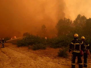 Los incendios en Francia dejaron a la fauna silvestre ante un “desierto de cenizas”, afirma un experto