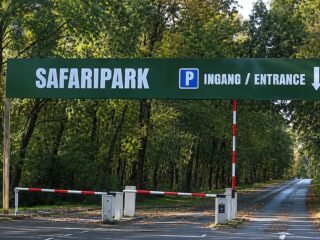 Murió una cuidadora tras el ataque de un leopardo en un safari de Países Bajos