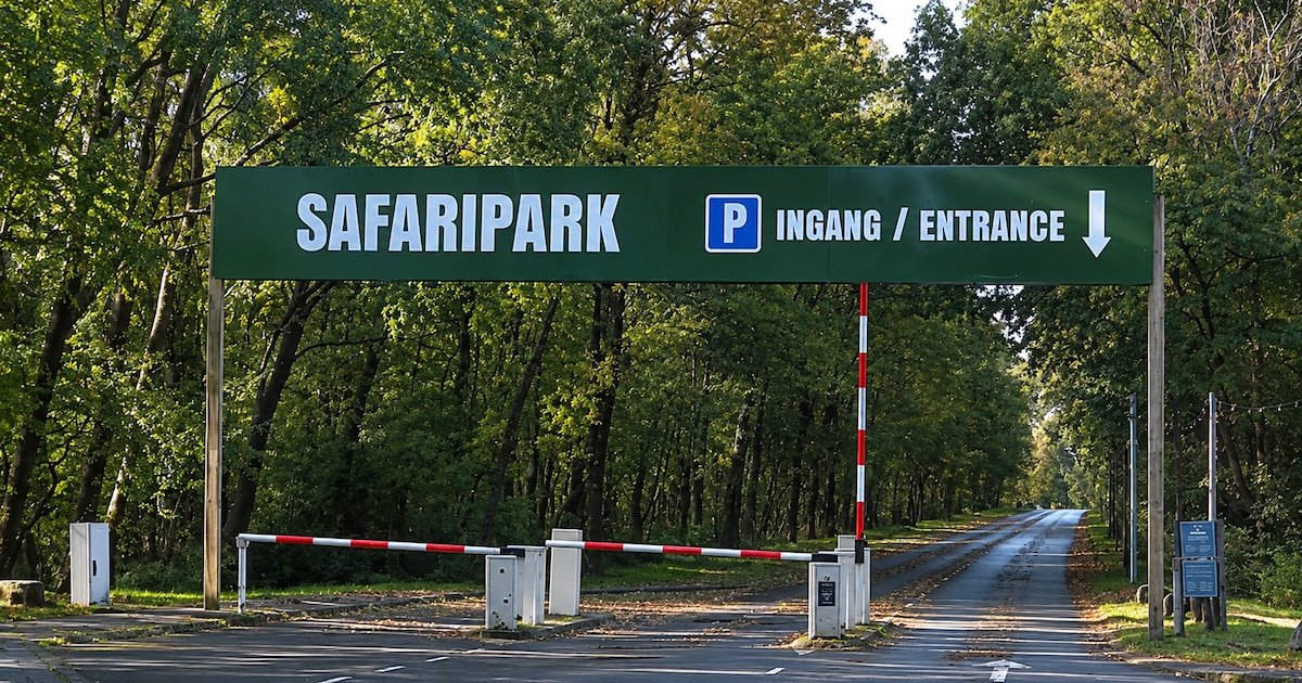 Murió una cuidadora tras el ataque de un leopardo en un safari de Países Bajos