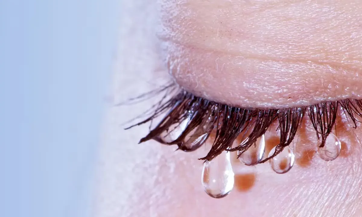 Los diseños secretos de las lágrimas: una gota deja un sedimento con un patrón único