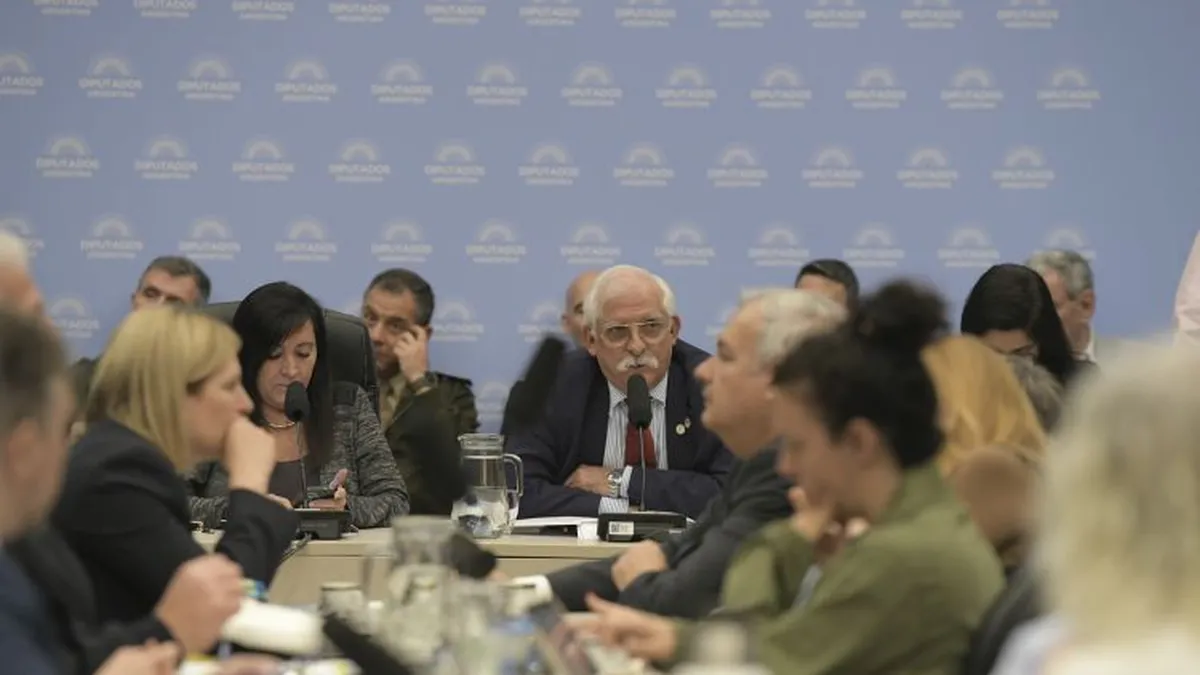 Sin dictamen a la vista, Diputados debate en comisiones la Ley de Defensa de la Soberanía