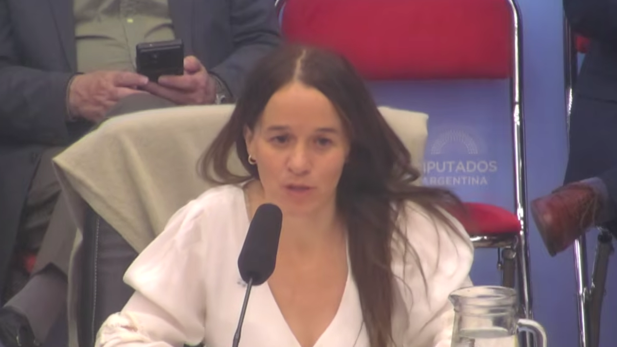 Defensa de la Soberanía: el oficialismo avanza en Diputados y buscar llevar el proyecto al recinto en sesión especial
