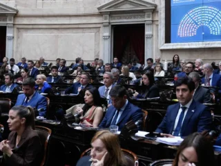 Discapacidad: con amplia mayoría, Diputados dio media sanción a una ley permanente