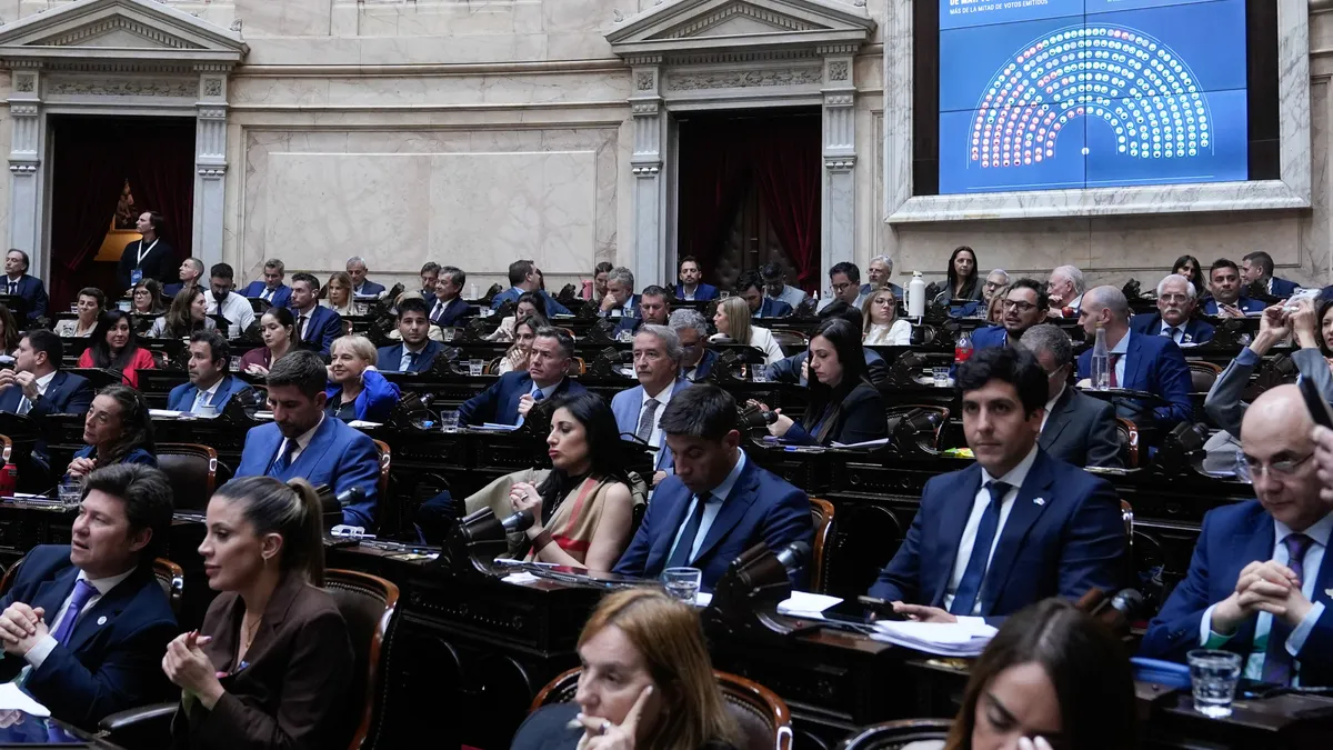 Discapacidad: con amplia mayoría, Diputados dio media sanción a una ley permanente
