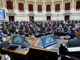 Seguí el debate en Diputados: Discapacidad, Morosidad y Ley de Tierras