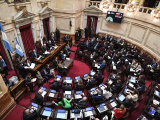 Seguí en vivo el debate en el Senado por la Ley de Salud Mental, el mercado del carbono y el RIIR