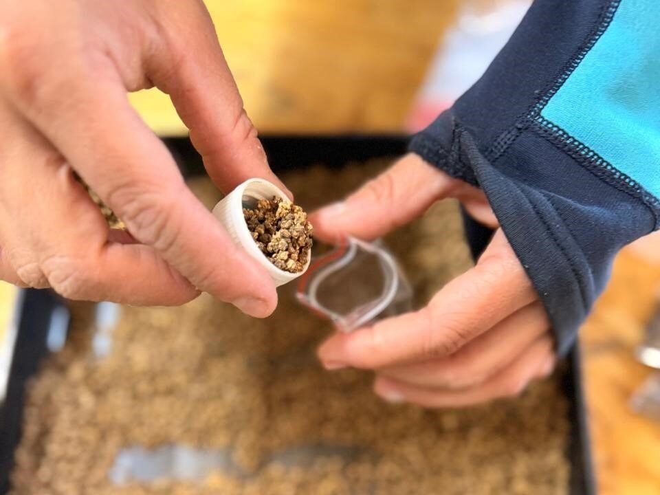 Activá Tu Huerta llega con capacitaciones y entrega de semilla a distintos barrios de Río Gallegos