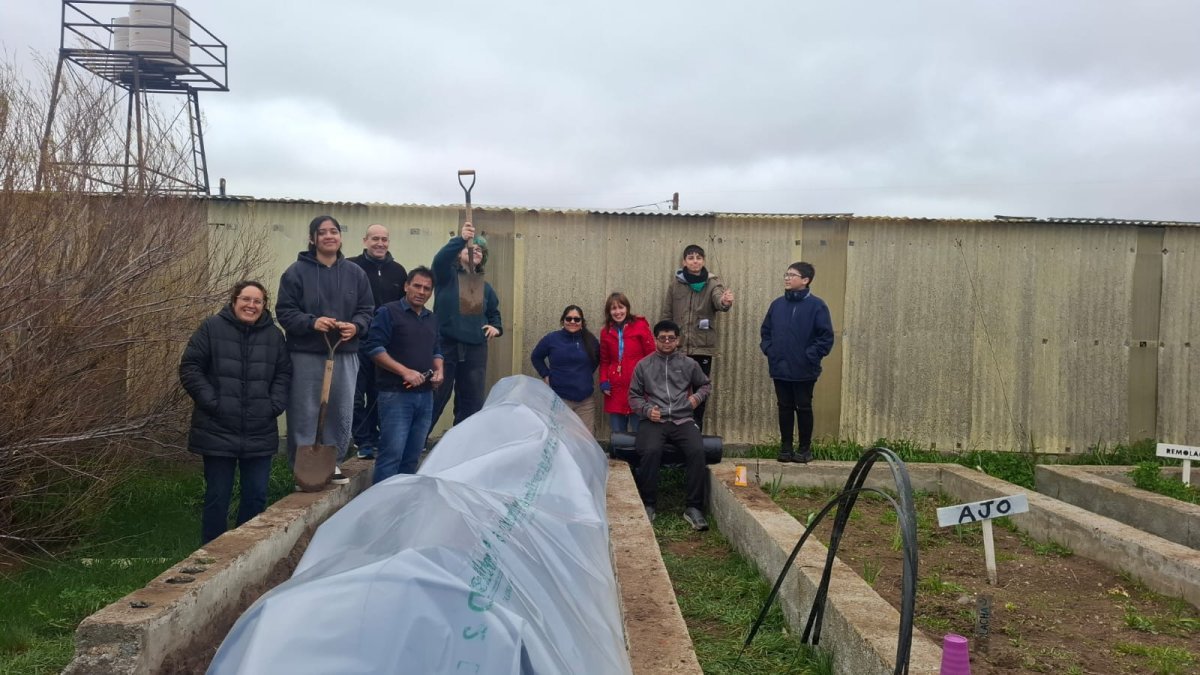 Estudiantes del CPESRI N° 35 Sede Tellier ponen en marcha una producción de frutillas en microtúnel