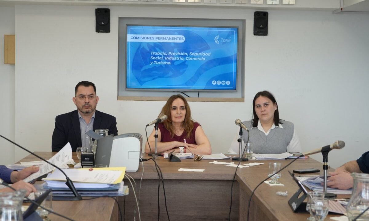 Transparencia y funcionamiento: Ricci expuso en la comisión de trabajo sobre Santa Cruz Puede S.A.U.