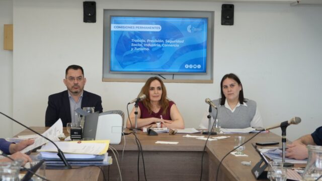 Transparencia y funcionamiento: Ricci expuso en la comisión de trabajo sobre Santa Cruz Puede S.A.U.