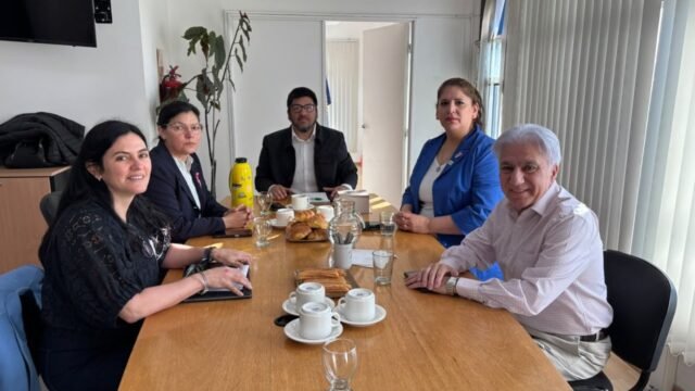 La Caja de Servicios Sociales recibió a diputados de la Cuenca Carbonífera para trabajar sobre la situación prestacional local