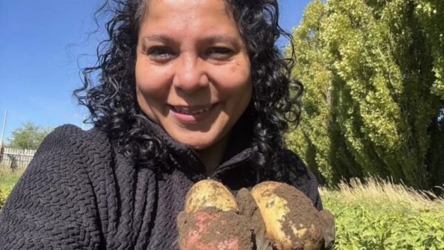 Impulsan capacitación gratuita sobre siembra de papa en Río Gallegos