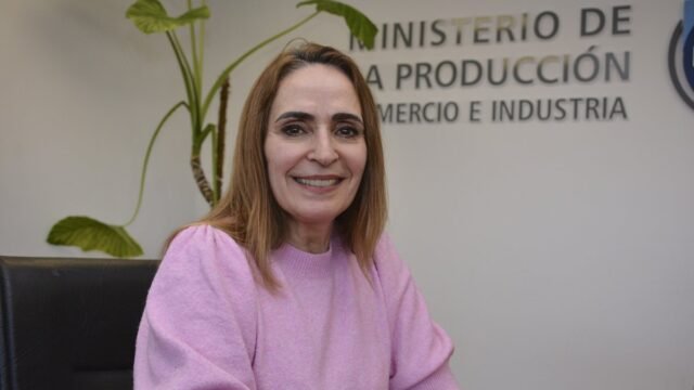 Ricci participó de la mesa federal de cooperación del Acuerdo MERCOSUR–UE