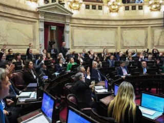 Tras una extensa sesión, el Senado le dio media sanción a la reforma de la Ley de Salud Mental