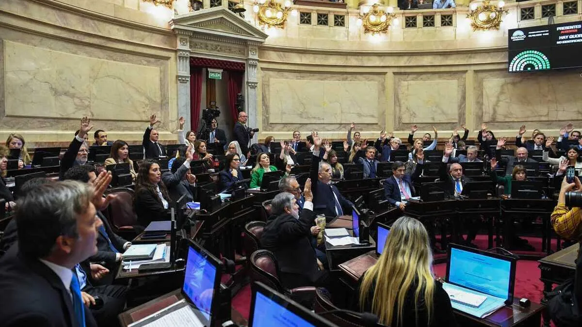 Tras una extensa sesión, el Senado le dio media sanción a la reforma de la Ley de Salud Mental